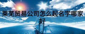 萊蕪貿易公司怎么起名字哪家好