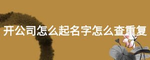 開公司怎么起名字怎么查重復(fù)
