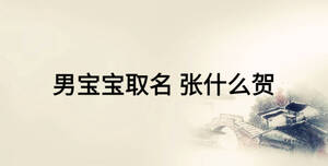 男寶寶取名 張什么賀