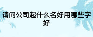請問公司起什么名好用哪些字好