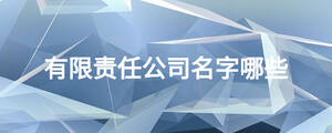 有限責(zé)任公司名字哪些