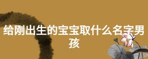 給剛出生的寶寶取什么名字男孩