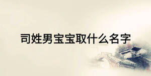 司姓男寶寶取什么名字