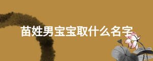 苗姓男寶寶取什么名字
