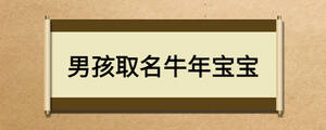 男孩取名牛年寶寶