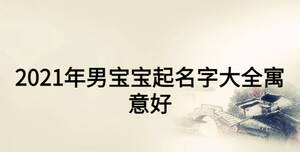 2021年男寶寶起名字大全寓意好