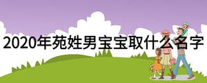 2020年苑姓男寶寶取什么名字