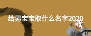 給男寶寶取什么名字2020