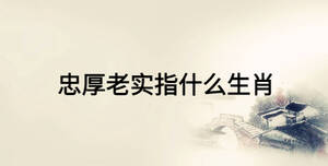 忠厚老實(shí)指什么生肖
