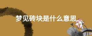 夢(mèng)見(jiàn)磚塊是什么意思
