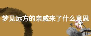 夢見遠方的親戚來了什么意思