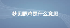 夢(mèng)見野雞是什么意思
