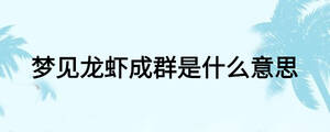 夢(mèng)見龍蝦成群是什么意思