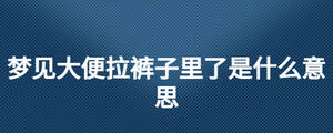 夢(mèng)見(jiàn)大便拉褲子里了是什么意思