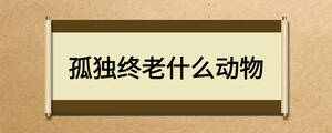 孤獨(dú)終老什么動(dòng)物