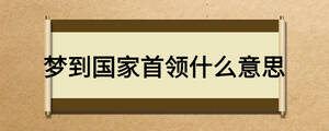 夢到國家首領什么意思