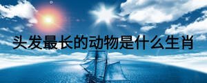 頭發最長的動物是什么生肖