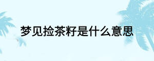 夢見撿茶籽是什么意思