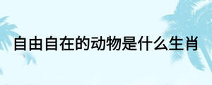 自由自在的動物是什么生肖