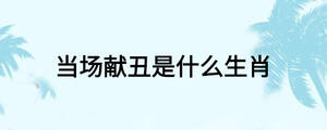 當(dāng)場(chǎng)獻(xiàn)丑是什么生肖