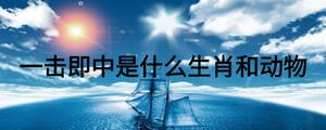 一擊即中是什么生肖和動(dòng)物