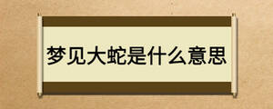 夢(mèng)見(jiàn)大蛇是什么意思