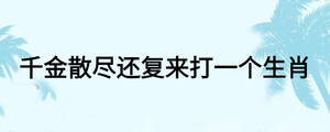 千金散盡還復(fù)來打一個生肖