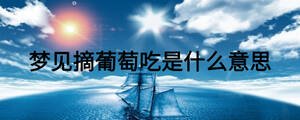 夢(mèng)見摘葡萄吃是什么意思