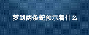 夢到兩條蛇預示著什么