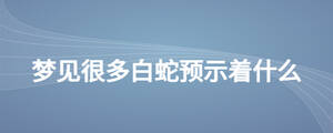 夢(mèng)見很多白蛇預(yù)示著什么