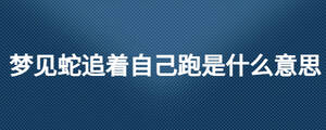 夢(mèng)見(jiàn)蛇追著自己跑是什么意思