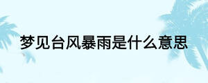 夢見臺風(fēng)暴雨是什么意思