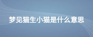 夢(mèng)見貓生小貓是什么意思