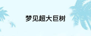 夢見超大巨樹
