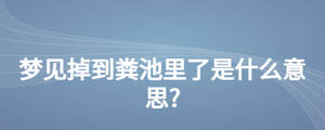 夢見掉到糞池里了是什么意思?