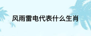 風雨雷電代表什么生肖