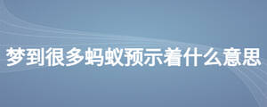 夢到很多螞蟻預示著什么意思