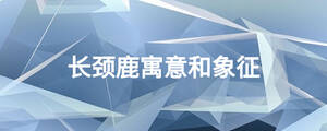 長(zhǎng)頸鹿寓意和象征