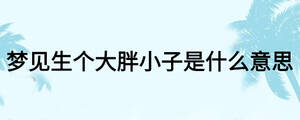 夢見生個大胖小子是什么意思
