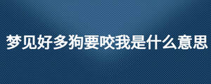 夢(mèng)見好多狗要咬我是什么意思