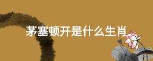 茅塞頓開是什么生肖