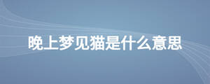 晚上夢(mèng)見貓是什么意思