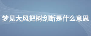 夢見大風(fēng)把樹刮斷是什么意思