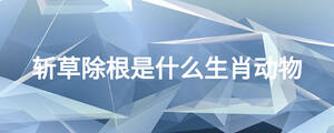 斬草除根是什么生肖動(dòng)物