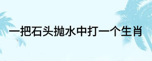 一把石頭拋水中打一個生肖