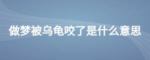 做夢被烏龜咬了是什么意思