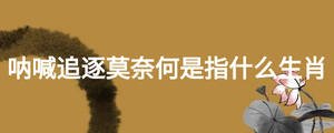 吶喊追逐莫奈何是指什么生肖