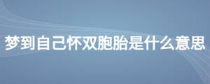 夢(mèng)到自己懷雙胞胎是什么意思