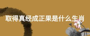 取得真經(jīng)成正果是什么生肖