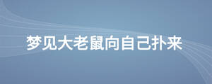 夢見大老鼠向自己撲來